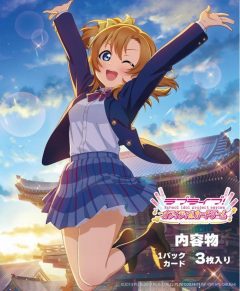 卒業10th Graduation 私立清華女子高等学校卒業生名簿 BOXの通販