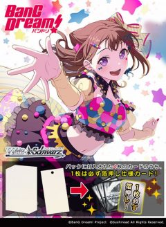 wspb-912BanGdream